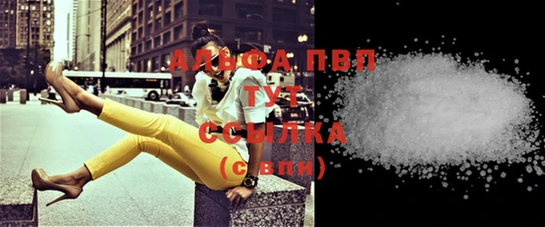 ALPHA PVP Няндома