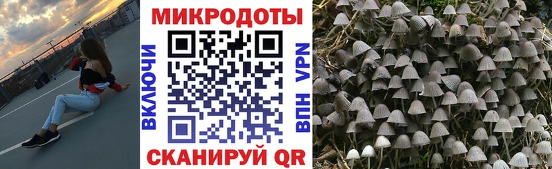 Купить  Талдом  Галлюциногенные грибы Magic Shrooms 